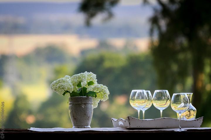 Dwor Dawidy Bed and Breakfast Mlynary Εξωτερικό φωτογραφία